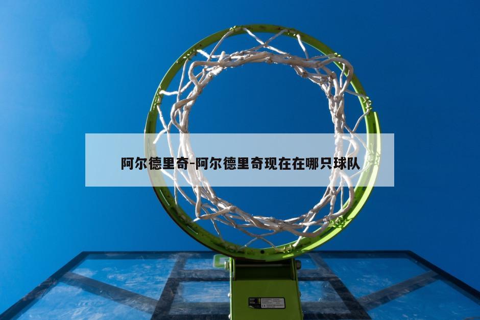 阿尔德里奇-阿尔德里奇现在在哪只球队